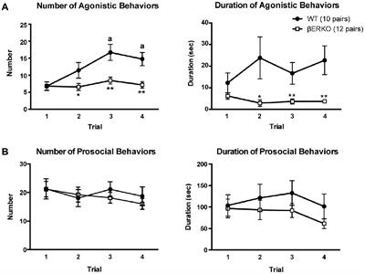 The Role of Estrogen Receptor β (ERβ) in the Establishment of Hierarchical Social Relationships in Male Mice